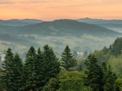 "Zobaczą" Bieszczady bez użycia wzroku. Przełomowy projekt otwiera góry dla każdego