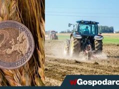 Wziąłeś pieniądze z KPO? Terminy gonią!