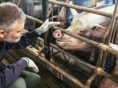"Czas ucieka, gospodarstwa będą się likwidować"