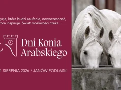 Zbliżają się Dni Konia Arabskiego