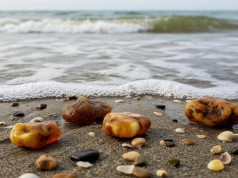 Leży na ziemi i jest warte 5000 zł! Bałtyk wyrzucił na plażę cenny skarb