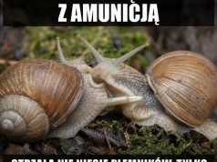Ślimaczy Tinder wymaga kamizelki
