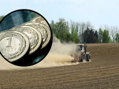 Rolnicy sprzedają taniej niż pół roku temu. GUS pokazał mocne tąpnięcie cen skupu