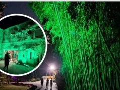 Nocne zwiedzanie zoo. Nadchodzą wyjątkowe 73. urodziny ogrodu