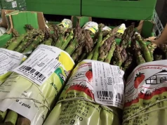 Dostawca czy doradca? Kogo naprawdę potrzebują producenci produktów rolnych w zakresie etykietowania?