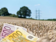 Matif: Kukurydza, rzepak i pszenica na długoterminowych szczytach
