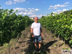 Winiarstwo odradza się na Śląsku. Poznaj winnice z Gołkowic, Jastrzębia-Zdroju, Szczejkowic i Bełsznicy
