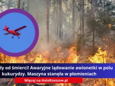 Sekundy od śmierci! Awaryjne lądowanie awionetki w polu kukurydzy. Maszyna stanęła w płomieniach