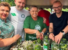 Kiszenie ogórków – małosolne i na zimę. Kiedy najlepiej zacząć kiszenie?