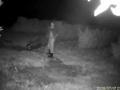 Nocny skok na plantację malin? Zostawili taczkę i płaszcze. „Monitoring wszystko nagrał”