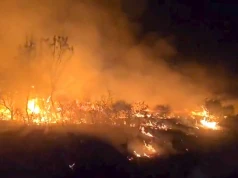 Lasy stoją w ogniu i nie można tego opanować. Ewakuacja ludzi