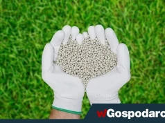 Sprowadzamy coraz mniej nawozów spoza UE