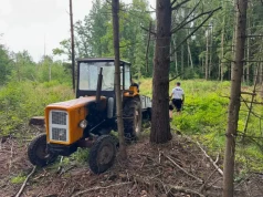 Ciągnik w lesie i kradzież drewna. Efekty działań „Bezpieczny wypoczynek w lesie”