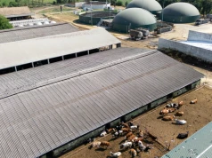 Spór o fermę i biogazownię. Burmistrz odmówił, inwestor zarzuca mu uleganie presji