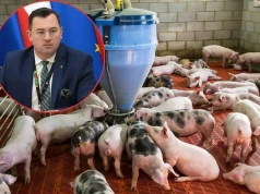 Minister rolnictwa prosi KE o pomoc dla polskich rolników. „Ceny wciąż spadają”