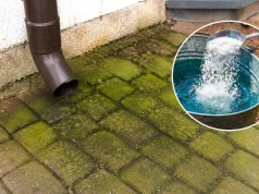 Kostka brukowa cała w zielonym nalocie? Wyciągnij TO z szafki kuchennej