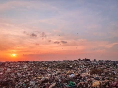 Superenzymy napędzane sztuczną inteligencją mogą zrewolucjonizować recykling