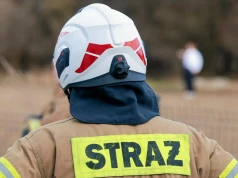 Tragiczne zdarzenie pod Włocławkiem. Strażak zmarł po użądleniu przez szerszenia