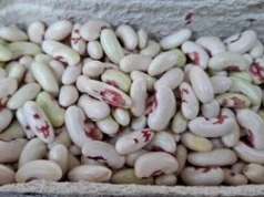 W zaborach groziła za nią chłosta. Nie kupisz w markecie, szukaj tylko u pań na ryneczku