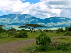 Polska misja archeologiczna rozpoczęła regularne badania w Serengeti w Tanzanii