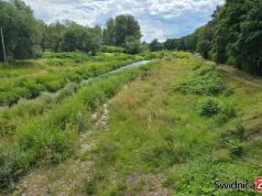 Bystrzyca znów zaczęła znikać w zaroślach. Wkrótce ruszą prace porządkowe