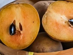 W Polsce mało kto zna ten owoc. Naturalny ratunek dla wątroby