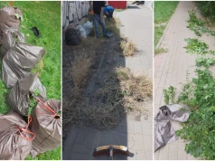 Bezrobotni pomagają sprzątać kolejne miejsca na terenie Świdnicy
