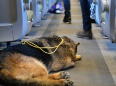 PKP Intercity zmienia cennik. Będzie nowa jednolita opłata