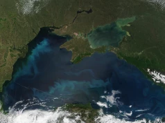 Zełenski ostrzega przed nasileniem rosyjskich ataków na Morzu Czarnym
