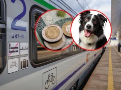 Podróż pociągiem będzie droższa. PKP podnosi opłaty od dziś