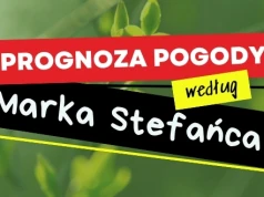 Zderzenie na drodze krajowej