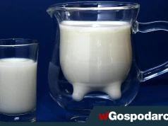Kefir a maślanka: czy jest jakaś różnica?