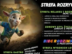 Piknik Rodzinny nad Zalewem Zemborzyckim – sportowe emocje, atrakcje i świetna zabawa dla całych rodzin!