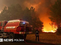 Pożary lasów na południowym zachodzie Francji zmuszają 20 000 osób do ewakuacji