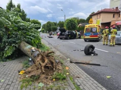 54-letni kierowca stracił panowanie nad samochodem. Siłą uderzenia wyrwał przydrożne drzewo