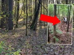 Grzybiarz poszedł do lasu, od razu chwycił za telefon. "Ile tego tu mamy"