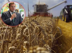 Koniec z odpinaniem hedera? Minister zapowiada konwój rolniczy
