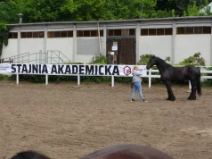 Politechnika Bydgoska przejęła stajnie w Myślęcinku. Ma pomóc w rozwoju weterynarii