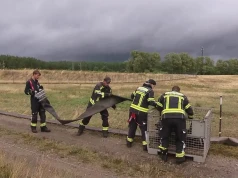 Wiadomości z Meklemburgii-Pomorza Przedniego