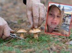 "Totalny szok". Tych polskich zwyczajów Amerykanie nie rozumieją