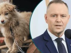 Karol Nawrocki podpisał ustawę łańcuchową. Na to rozwiązanie czekało miliony Polaków. Jest decyzja prezydenta ws. psów i kotów
