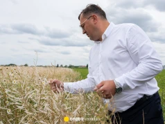 Superkomórka burzowa zabrała im niemal wszystko. "Z niepokojem patrzymy w przyszłość"