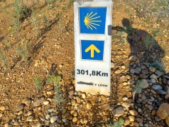 Camino de Santiago pełne pątników. Ile Dróg Jakubowych jest w Polsce?
