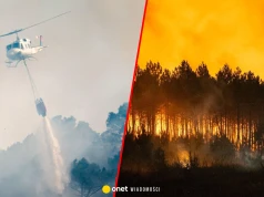 Europejskie kraje walczą z ogniem. Francja wysłała na miejsce wojsko