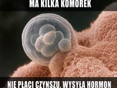Lokator bez twarzy wysłał pismo