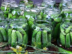 To najlepsza sól do kiszenia ogórków. Nie opóźnia procesu fermentacji