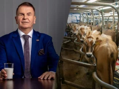 Mlekovita ma rekordowy rok. Tyle mleka skupiła od polskich rolników