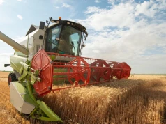 Gdański Agro Terminal gotowy do działania. Potężna inwestycja za 240 mln zł