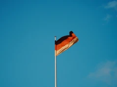 Podliczono program AfD. Nikt nie zyska, straci gospodarka