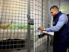 Atak podczas pokazu broni pod Kijowem. Organizator zatrzymany
